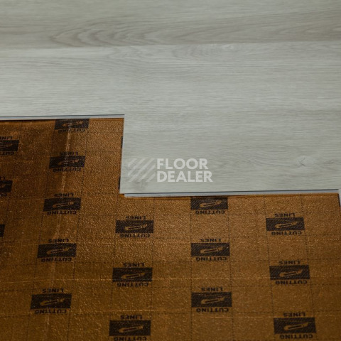 Tarkett Funky House CRUZE фото 2 | FLOORDEALER